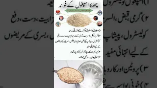 Ispaghol Chilka Ke Fayde In Urdu Psyllium Ispaghol Psyllium Shorts 