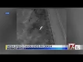 High-speed chase ends in crash in Edgecombe County