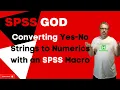 Converting Yes No Strings to Numerics with an SPSS Macro