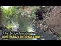Download Lagu 2 HARI BERPETUALANG MANCING BELUT‼️MENYUSURI SUNGAI \u0026 RAWA 