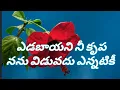 Download Lagu ఎడబాయని నీ కృప సాంగ్ || yadabayani nee krupa Lyrics song|| Christian telugu song ||Heart touching