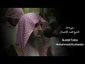سورة طه للشيخ محمد اللحيدا - Surah Taha Muhammad Al Luhaidan