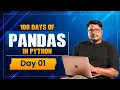 Learn Pandas from Scratch Day 1 Beginner Guide