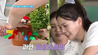 제철리 마을회관 6회 요약본 📺 | 긴급 미션, 새벽 일꾼 2명을 뽑아라!