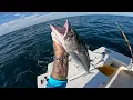 We did not know what to expect But it played out perfectly Florida Saltwater Ocean Fishing