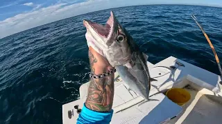 We did not know what to expect But it played out perfectly Florida Saltwater Ocean Fishing