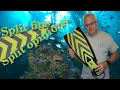 Split Fins Split Opinions