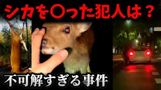 【不可解事件】シカを殺害した犯人とは?