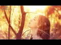 「Engsub」Hazy - Rosi Golan ft. William Fitzsimmons (w/ lyrics)