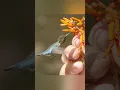 Download Lagu Burung terkecil di dunia | Kolibri lebah