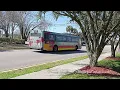 Bus Observations of Myrtle Beach South Carolina March 2023