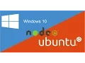 NodeJS in Windows Bash Unbelievable