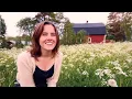 Download Lagu I'M BACK! Home in Northern Sweden - Summer preparations, BEAR sighting!