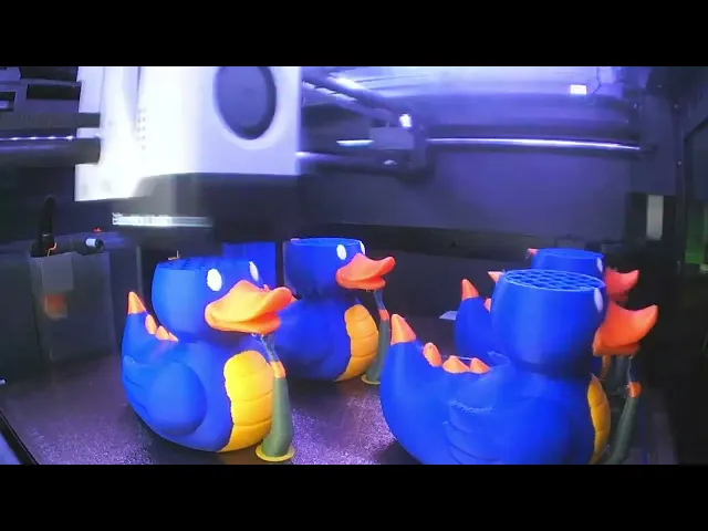 Dragon Ducks video thumbnail