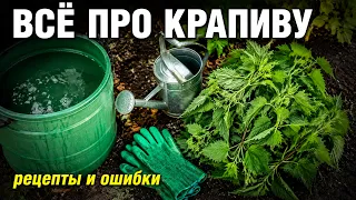 Почему настой из крапивы не помогает половине дачников — и как исправить