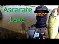 Best Time To Fish Ascarate