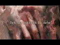Dolu Kadehi Ters Tut - Olabilirdik (Lyrics)