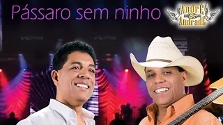 Pássaro sem ninho - DVD André e Andrade