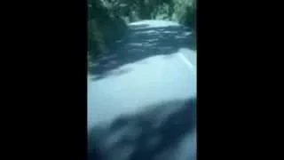 simple plan lagu terbaru