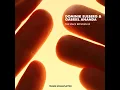 The Space Between Us - Dominik Eulberg & Gabriel Ananda