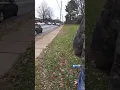 Clarke County Police EASTSIDE ATHENS GA Standoff
