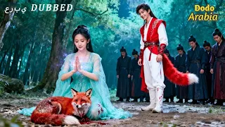 أنقذت ثعلب ا جريح ا فتبين أنه أمير الثعالب فتغير مصيرها 