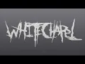 Whitechapel - Bloodline (Slayer Cover)& Jamie Hanks from I Declare War [2011]