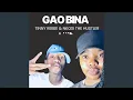 Download Lagu Gao Bina