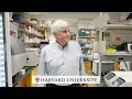 Harvard s David Corey on Gene Therapy Breakthrough for Childhood Deafness