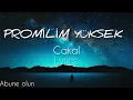 Cakal -Promilim Yüksek (şarkı sözleri-lyrics)