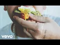 Download Lagu Clinton Kane - AVO TOAST (Official Audio)