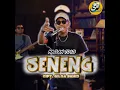 Lagu Seneng