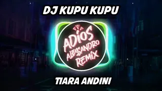 dj kupu kupu tiara andini adios alessandro remix