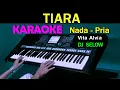 Download Lagu DJ TIARA - Vita Alvia  | KARAOKE Nada Pria