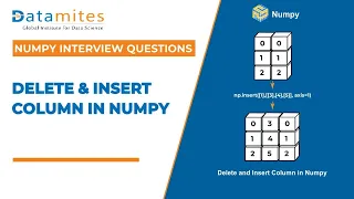 Numpy Delete function and Insert function Python Numpy Tutorial
