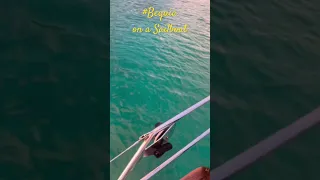 MAGICAL Sunset in Bequia, St Vincent & The Grenadines🌅 #bequia #sailboat #boatlife #magic #sunset