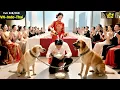 Download Lagu Ở Rể Phế Vật 3 Năm Ăn Cơm Với Chó, Trả Hết Ân Tình, Ngày Ly Hôn Hóa Chiến Thần Khiến Ai Cũng Sững Sờ