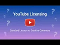 Standard License vs CCBY YouTube s Biggest Creator Decision