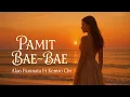 Lagu PAMIT BAE-BAE || Cover Alan Paranata ft Kemro Cbr || Offical MV