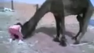 سبحان من خضعت لعظمته الرقاب دندنها