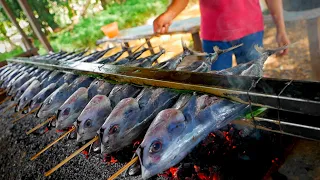 Download Sekali Bakar 14 Ikan Tongkol Jumbo MP3