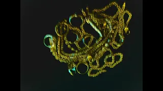           فراولة دندنها