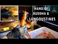 Download Lagu Chef Jo Grootaers prepares LANGOUSTINES with HAND OF BUDDHA at 1 michelin star Altermezzo (Belgium)