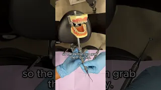 Four-Handed Dentistry