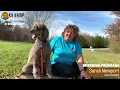 Sarah Newport K9 Kamp Dog Training