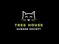 Tree House Humane Society Every Cat Thrives