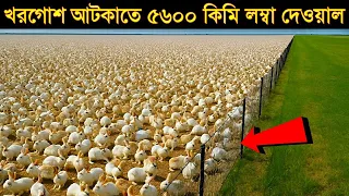 খরগোশ আটকাতে তৈরি হল ৫৬০০ কিলোমিটার লম্বা দেয়াল! কিন্তু কেন? | Incredible Story of 5600km Long Fence