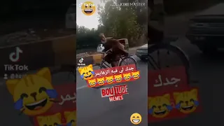 في تونس الزنا حلال حسب الشيخة حنبعل الشوالي 