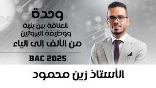 العلاقة بين بنية ووظيفة البروتين من الألف إلى الياء 