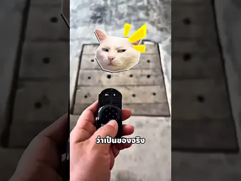 พ่อคะดูหุ่นยนต์นั่นสิ!